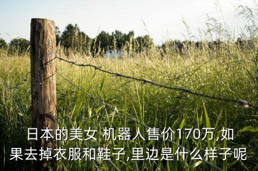 日本的美女 機(jī)器人售價(jià)170萬(wàn),如果去掉衣服和鞋子,里邊是什么樣子呢
