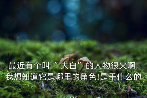 大白機器人功能,星際大白機器人說明書