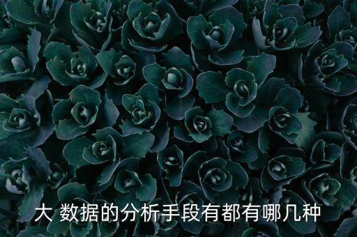大 數(shù)據(jù)的分析手段有都有哪幾種