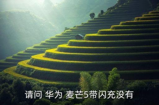 請問 華為 麥芒5帶閃充沒有