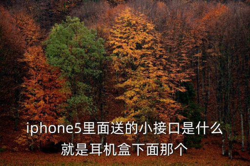 iphone5里面送的小接口是什么就是耳機(jī)盒下面那個(gè)