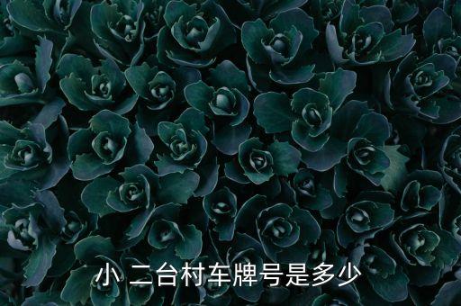 小 二臺(tái)村車牌號(hào)是多少
