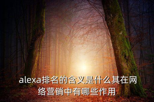  alexa排名的含義是什么其在網(wǎng)絡(luò)營銷中有哪些作用