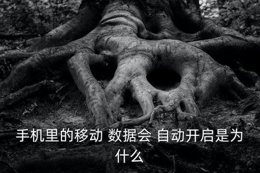 數(shù)據(jù)流量自動打開,手機(jī)重啟后數(shù)據(jù)流量自動打開