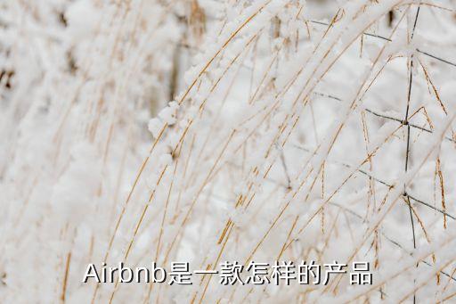 airbnb 旺季數(shù)據(jù)參考