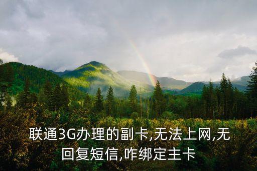 山東聯(lián)通3g數(shù)據(jù)副卡,聯(lián)通突然變成3g網(wǎng)數(shù)據(jù)用不了