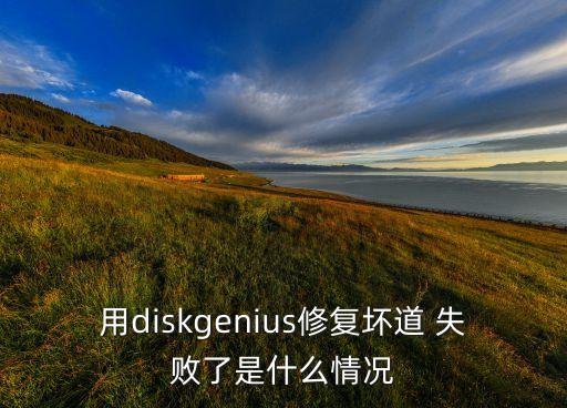 用diskgenius修復(fù)壞道 失敗了是什么情況
