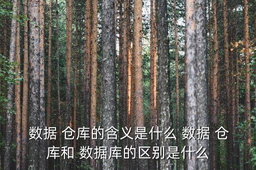 數(shù)據(jù)倉庫 hadoop