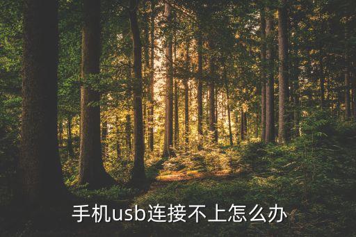 手機連不上數(shù)據(jù)線