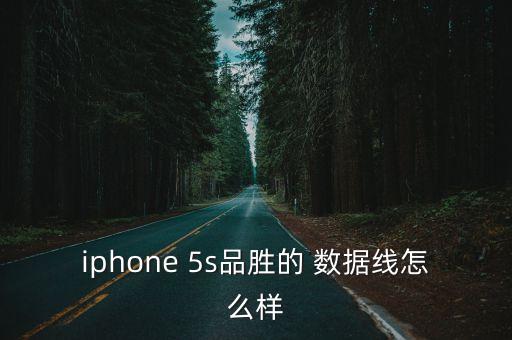 iphone 5s品勝的 數(shù)據(jù)線怎么樣