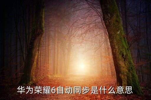 華為榮耀6自動(dòng)同步是什么意思