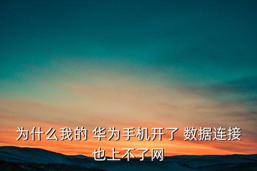 為什么我的 華為手機(jī)開了 數(shù)據(jù)連接也上不了網(wǎng)