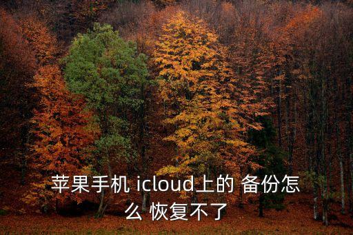 為什么icloud無法恢復備份數(shù)據(jù),icloud刪除備份數(shù)據(jù)手機如何恢復