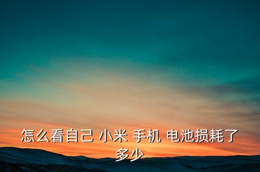 小米手機電池數(shù)據(jù)