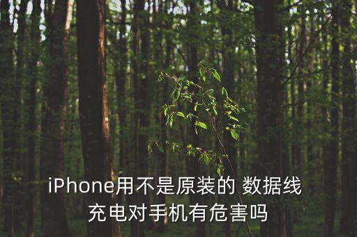 用不配套的數(shù)據(jù)線充電,蘋果數(shù)據(jù)線跟充電頭要配套嗎