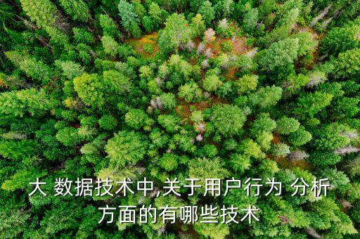 大 數(shù)據(jù)技術(shù)中,關(guān)于用戶行為 分析方面的有哪些技術(shù)
