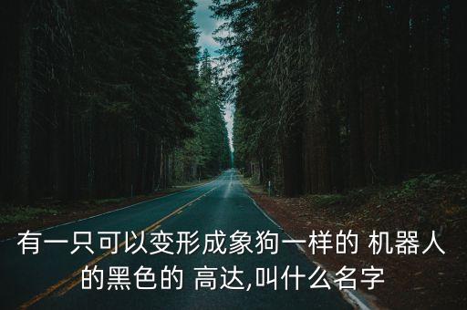 有一只可以變形成象狗一樣的 機(jī)器人的黑色的 高達(dá),叫什么名字