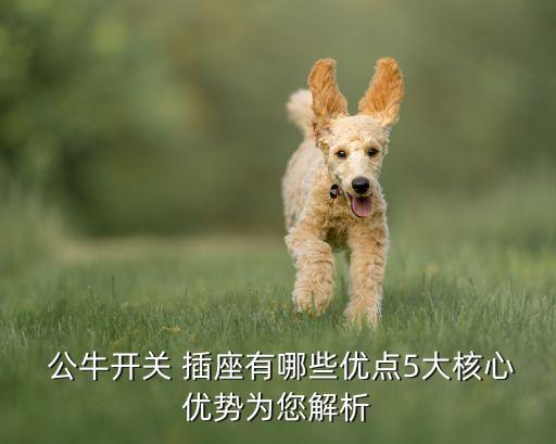  公牛開關(guān) 插座有哪些優(yōu)點5大核心優(yōu)勢為您解析