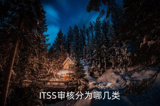 ITSS審核分為哪幾類