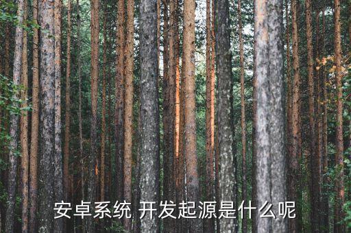 安卓系統(tǒng) 開發(fā)起源是什么呢