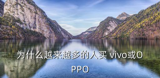 為什么越來越多的人買 vivo或OPPO