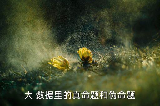 大 數(shù)據(jù)里的真命題和偽命題