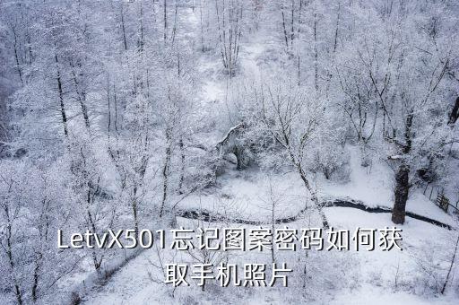 LetvX501忘記圖案密碼如何獲取手機照片