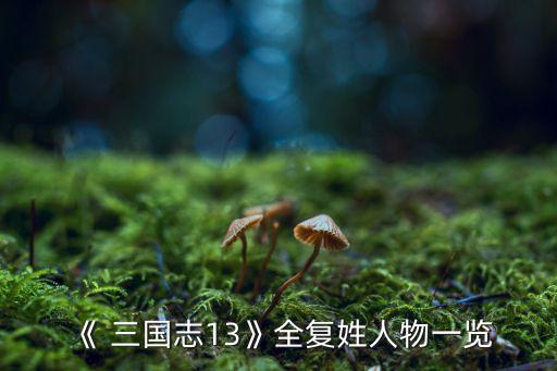 《 三國志13》全復姓人物一覽