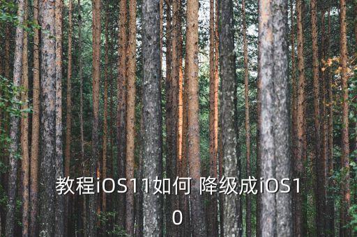 教程iOS11如何 降級成iOS10