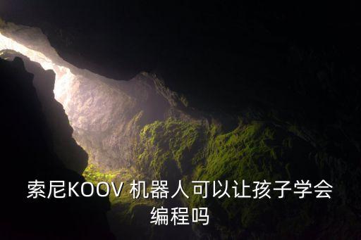 索尼KOOV 機(jī)器人可以讓孩子學(xué)會(huì)編程嗎
