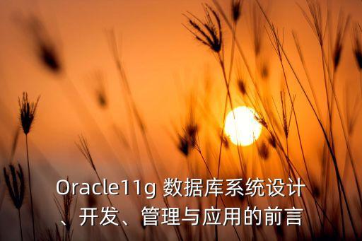 Oracle11g 數(shù)據(jù)庫系統(tǒng)設(shè)計、開發(fā)、管理與應(yīng)用的前言