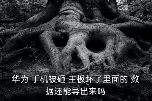 華為 手機(jī)被砸 主板壞了里面的 數(shù)據(jù)還能導(dǎo)出來嗎