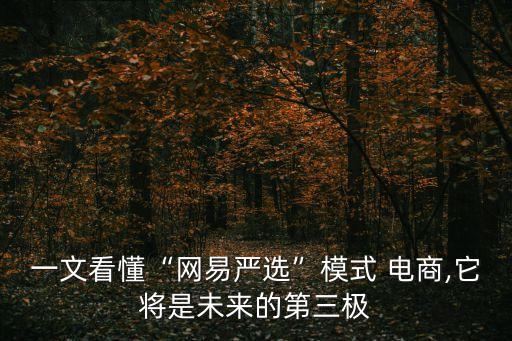 一文看懂“網(wǎng)易嚴(yán)選”模式 電商,它將是未來的第三極