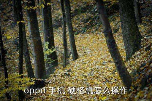 oppo 手機(jī) 硬格機(jī)怎么操作