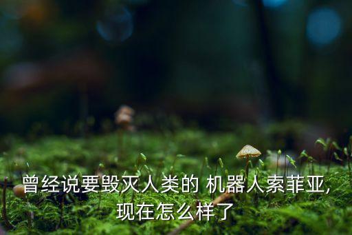 曾經(jīng)說要毀滅人類的 機器人索菲亞,現(xiàn)在怎么樣了