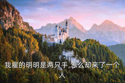 我雇的明明是兩只手,怎么卻來了一個人