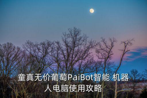 不良人2掛機刷機器人