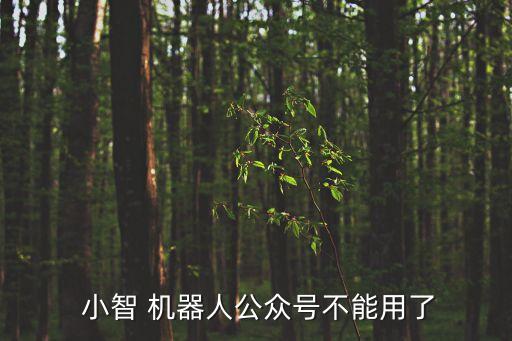 小智幫幫手機(jī)器人
