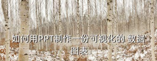 如何用PPT制作一份可視化的 數(shù)據(jù) 圖表