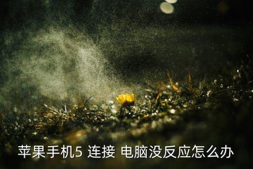 蘋果手機(jī)5 連接 電腦沒反應(yīng)怎么辦