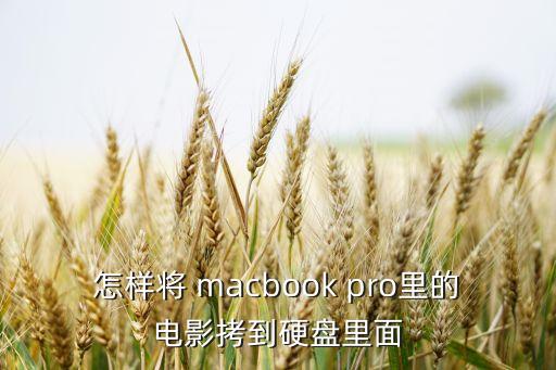 怎樣將 macbook pro里的電影拷到硬盤里面