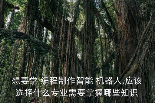 學(xué)會(huì)編程機(jī)器人,我學(xué)會(huì)編程機(jī)器人的作文600