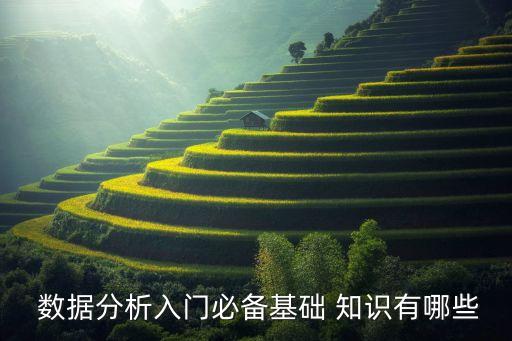  數(shù)據(jù)分析入門必備基礎(chǔ) 知識有哪些