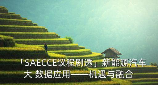 「SAECCE議程劇透」新能源汽車大 數(shù)據(jù)應(yīng)用——機(jī)遇與融合