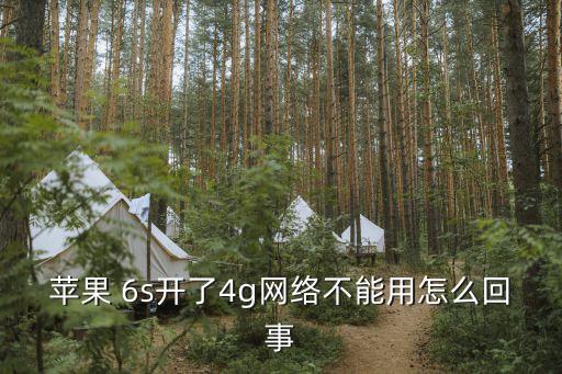 6s開蜂窩移動(dòng)數(shù)據(jù)時(shí)卡,iphone用不了蜂窩移動(dòng)數(shù)據(jù)