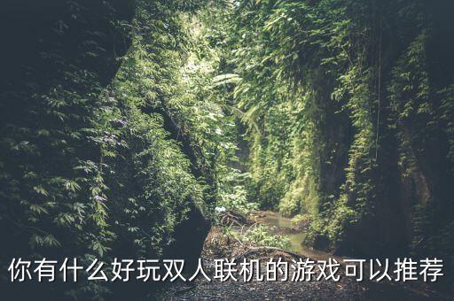 你有什么好玩雙人聯(lián)機(jī)的游戲可以推薦