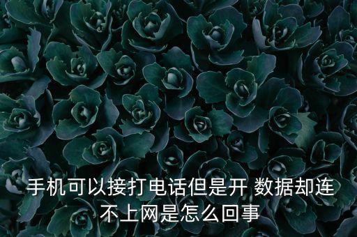  手機(jī)可以接打電話但是開 數(shù)據(jù)卻連 不上網(wǎng)是怎么回事