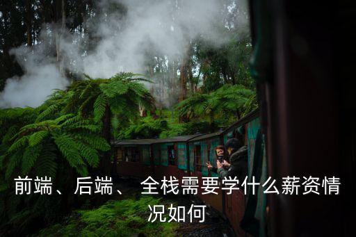 全棧數(shù)據(jù)之門 作者