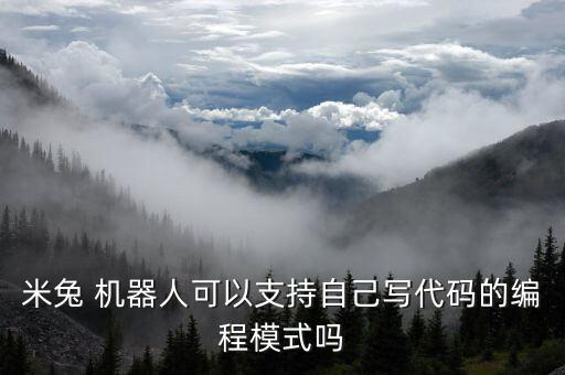 米兔 機器人可以支持自己寫代碼的編程模式嗎
