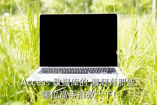Access 數(shù)據(jù)庫的 漏洞有那些哪位高手指教一下!